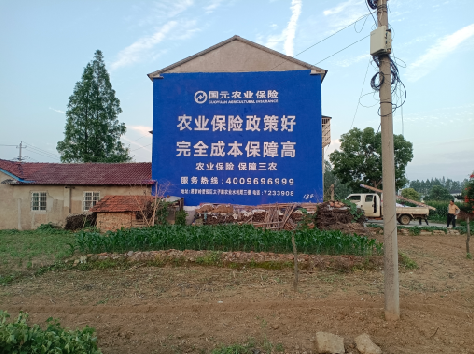 富县墙体广告为何受追捧？